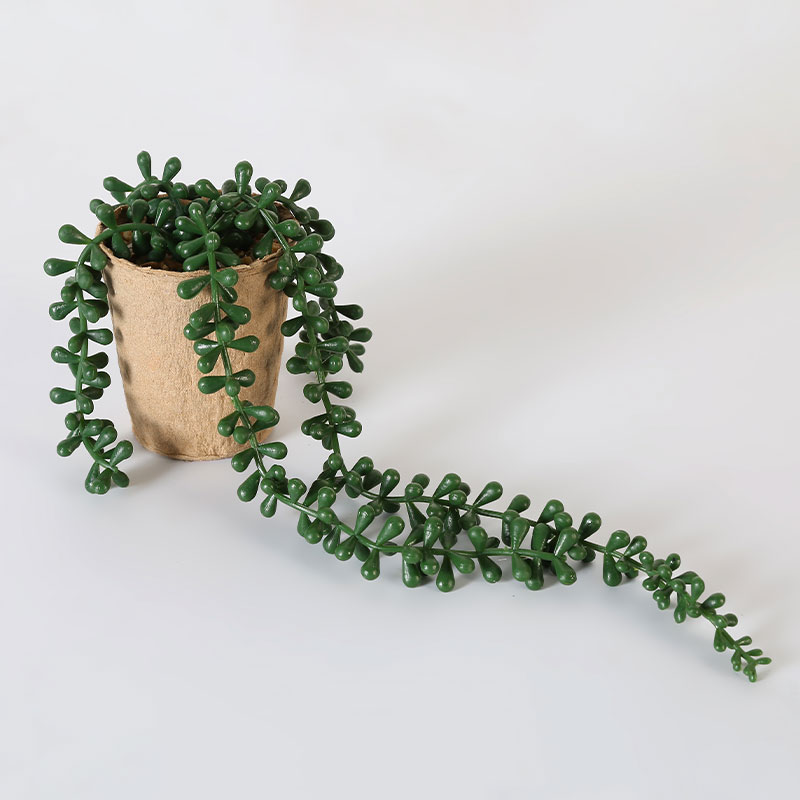 Artificial Necklace Fern Succulent