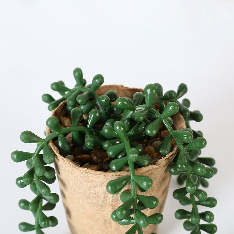 Artificial Necklace Fern Succulent