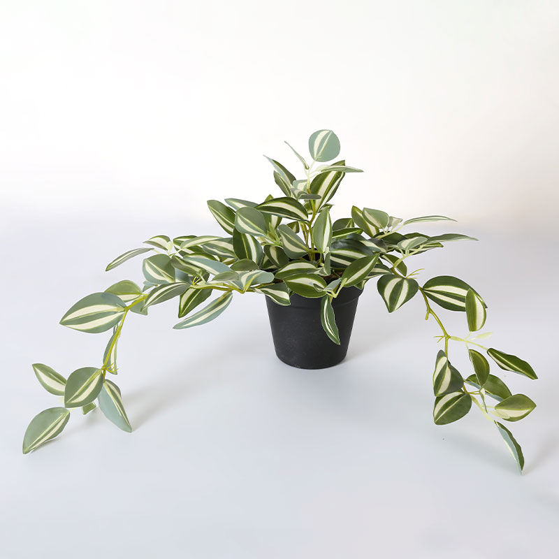 Faux Wandering Variegated Tradescantia Plant
