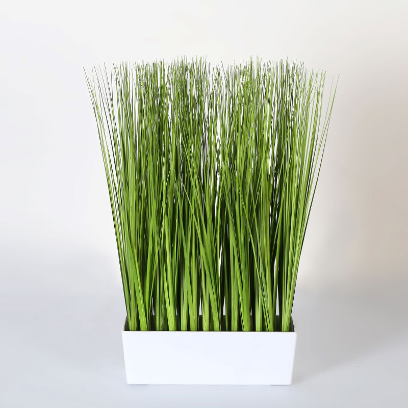 Japanese Grass in Rectangle Table Planter