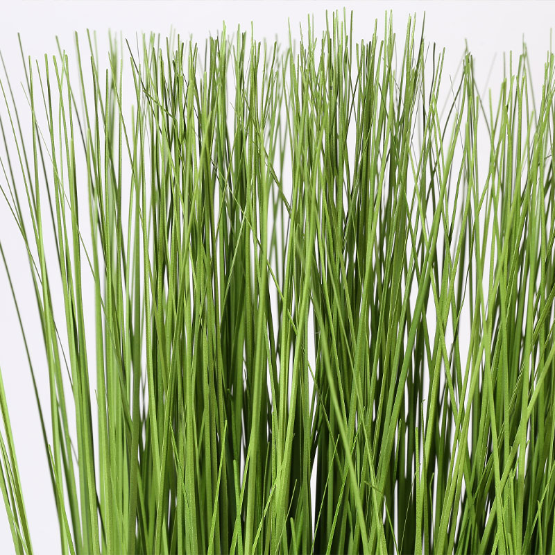 Japanese Grass in Rectangle Table Planter