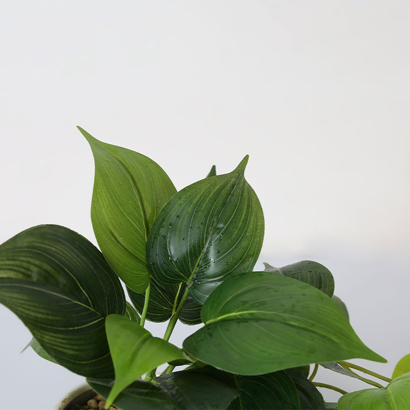 Artificial Epipremnum aureum potted plant