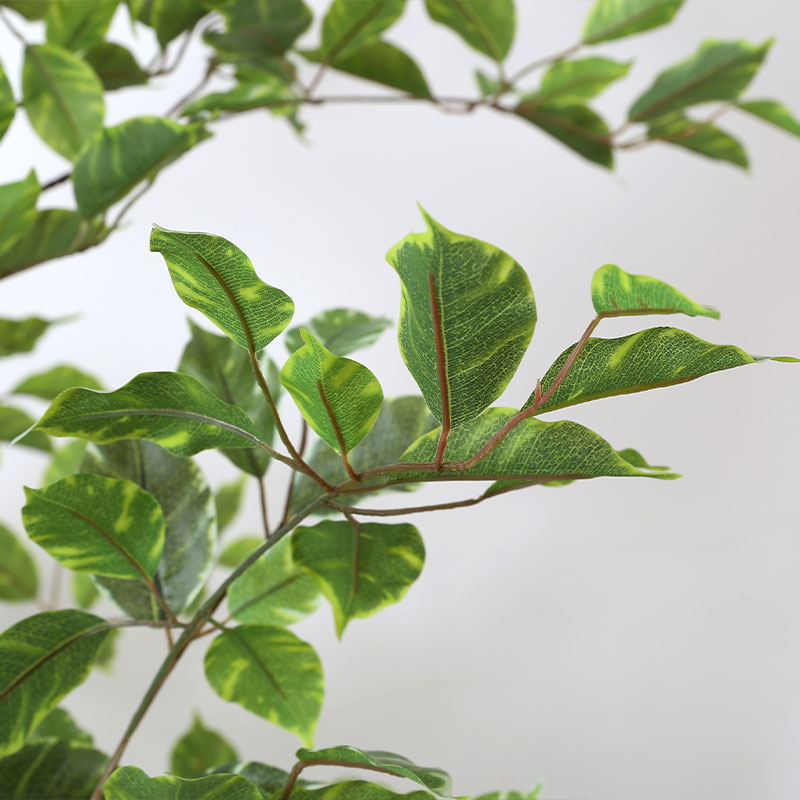 Potted artificial Ficus microcarpa