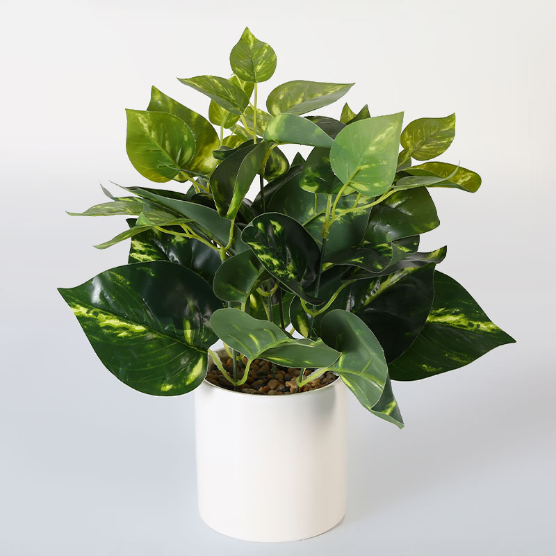 Artificial Golden Pothos