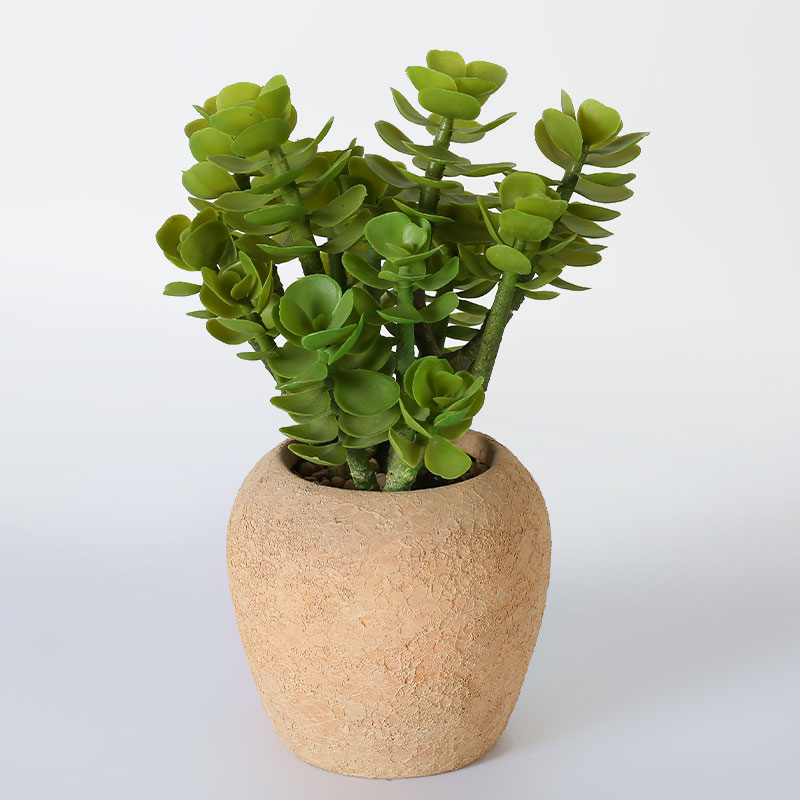 Faux Potted Jade Plant