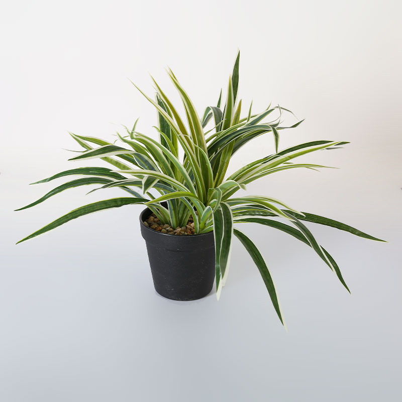 artificial Reverse Variegated Spider Plant