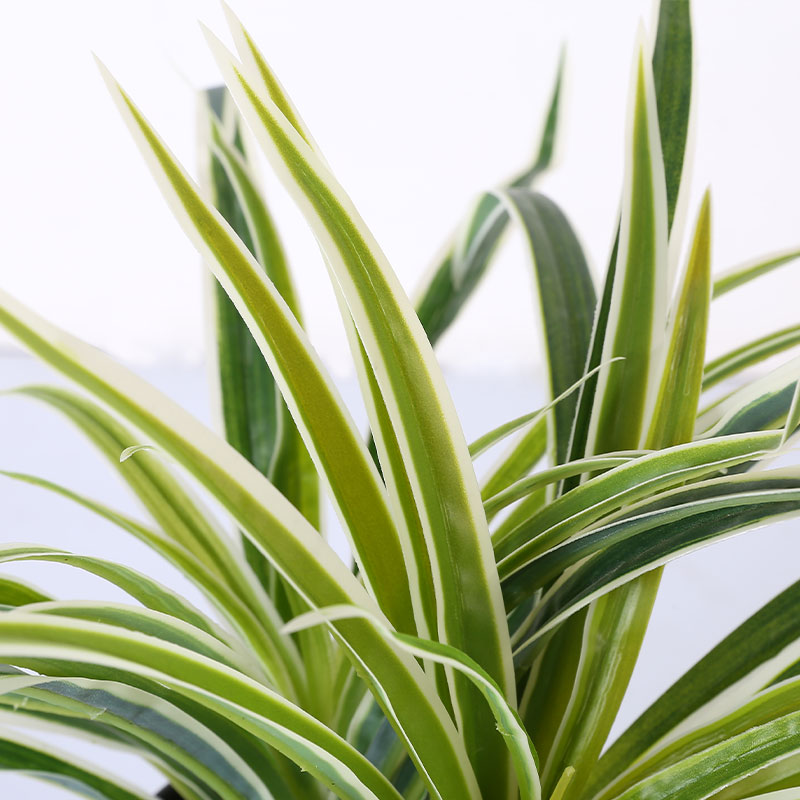 artificial Reverse Variegated Spider Plant