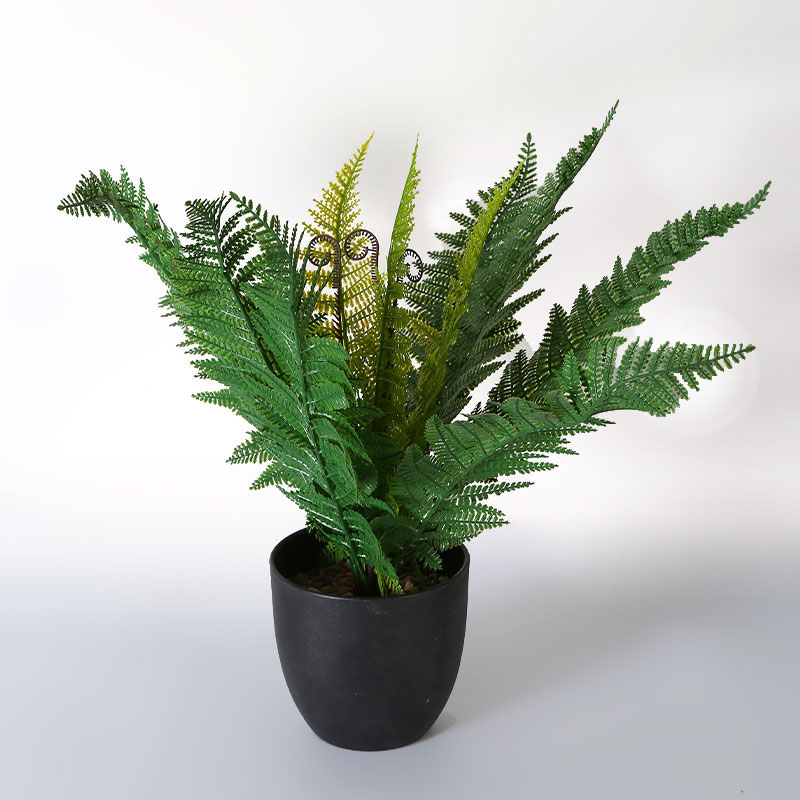 artificial Cyathea cooperi potted plant
