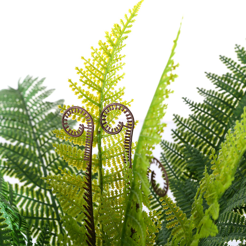artificial Cyathea cooperi potted plant