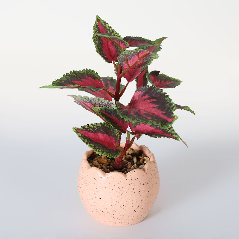 artificial Coleus (Green Pink)