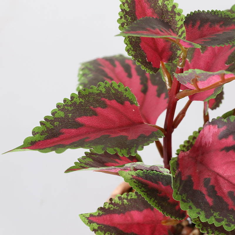 artificial Coleus (Green Pink)